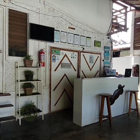 Tribal Xperience Guesthouse San Vicente  Esterno foto